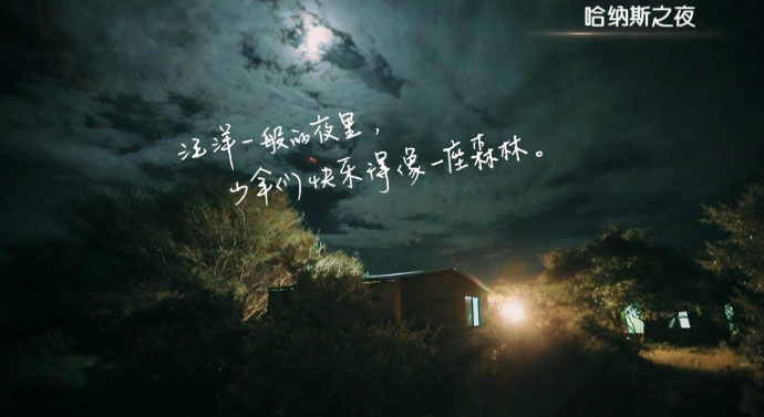 花儿与少年3.jpg