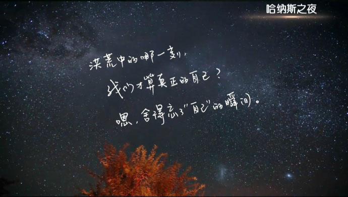花儿与少年4.jpg