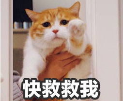g1/2018/08/13/1534142853188.png g1/2018/08/13/1534142853188.png