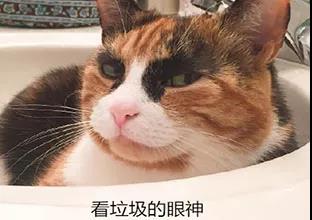 g1/2018/08/14/1534209747128.jpg 微信图片_20180814092109.jpg