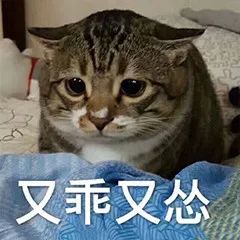 g1/2018/08/14/1534229403899.jpg 640.jpg