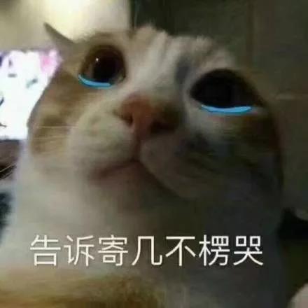 g1/2018/08/15/1534302107639.jpg g1/2018/08/15/1534302107639.jpg