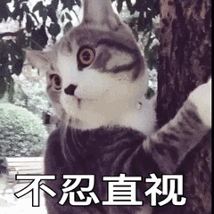 5.gif