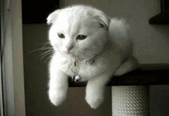 g1/2018/09/17/1537154966106.gif 微信图片_20180917112712.gif