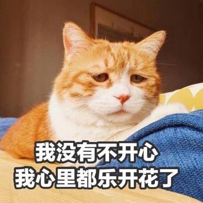 g1/2018/10/09/1539068537833.png g1/2018/10/09/1539068537833.png