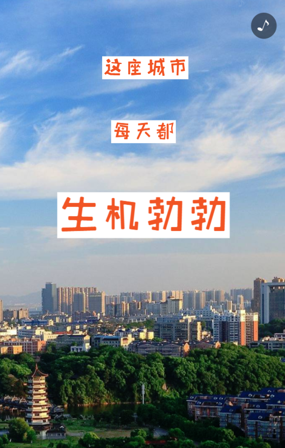g1/2019/04/25/1556168643815.png