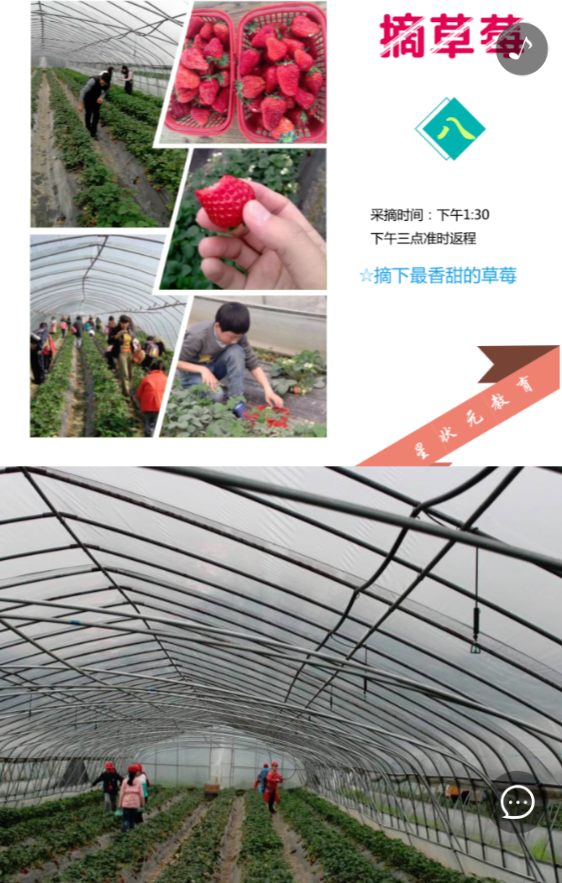 g1/2019/05/08/1557299354630.png