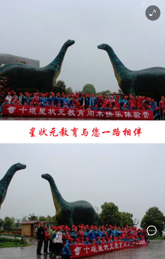 g1/2019/05/08/1557299394874.png