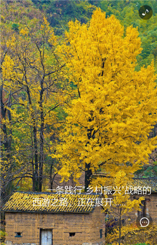g1/2019/08/09/1565342020566.png 11.png