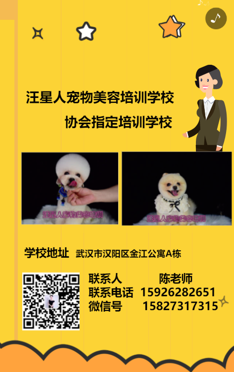 g1/2019/10/31/1572512207337.png g1/2019/10/31/1572512207337.png