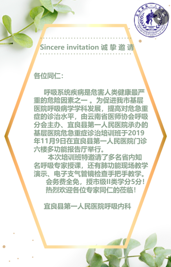 g1/2019/12/19/1576744876913.png g1/2019/12/19/1576744876913.png