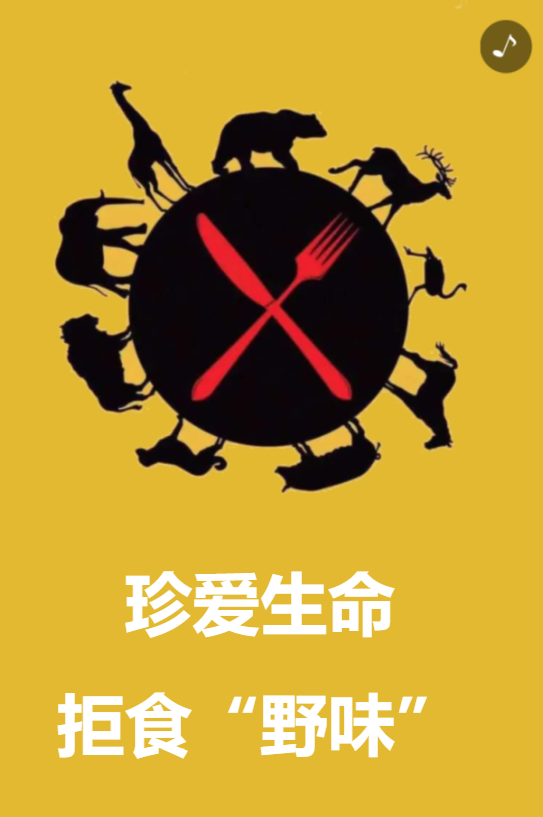 g1/2020/04/28/1588063649951.png g1/2020/04/28/1588063649951.png