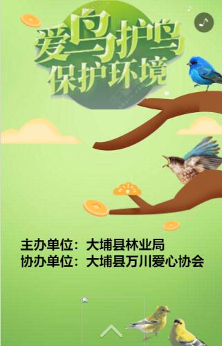 保护野生动物的h5 保护野生动物的h5