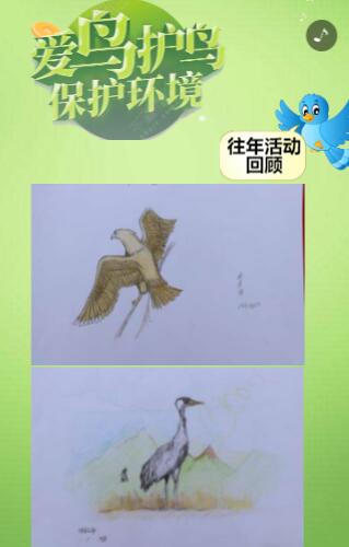 保护野生动物h5制作 保护野生动物h5制作