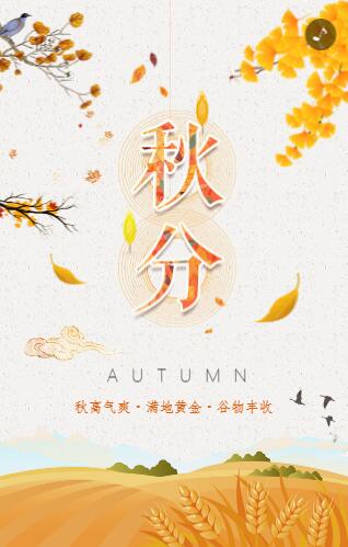 黄色落叶二十四节气秋分宣传模板