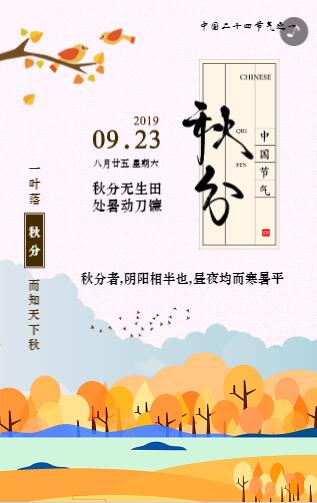 中式二十四节气秋分宣传模板