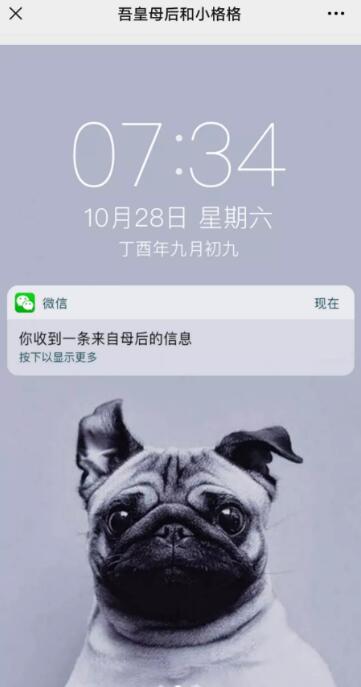 g1/2021/10/11/1633915389830.jpg QQ截图20211011091732.jpg
