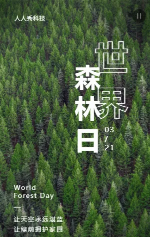 简约世界森林日宣传