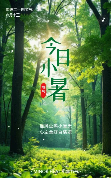 绿色二十四节气小暑宣传小暑习俗养生宣传