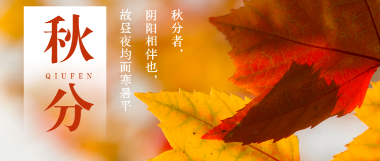 秋日风景 秋分节日节气公众号首图