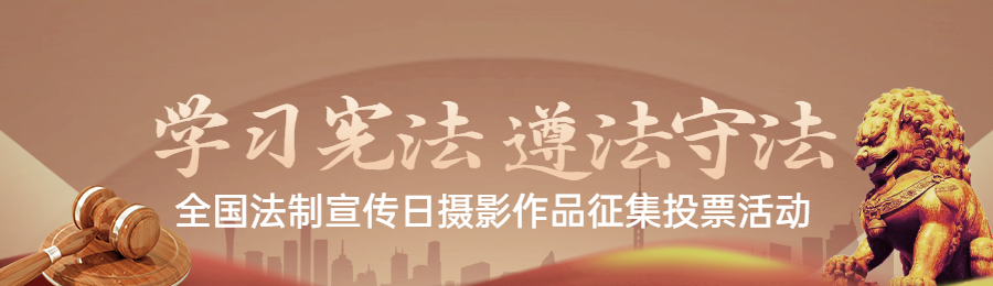棕色扁平渐变风格政府组织全国法制宣传日投票活动banner