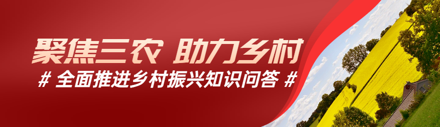 红色写实唯美风格政府组织全面推进乡村振兴知识答题活动banner