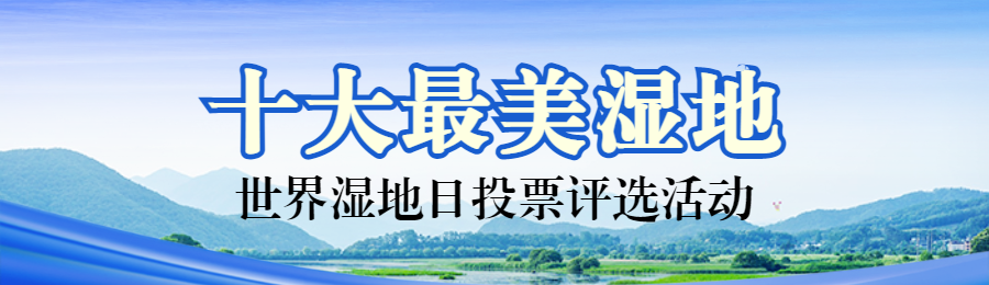 蓝色写实风格政府组织世界湿地日投票活动banner