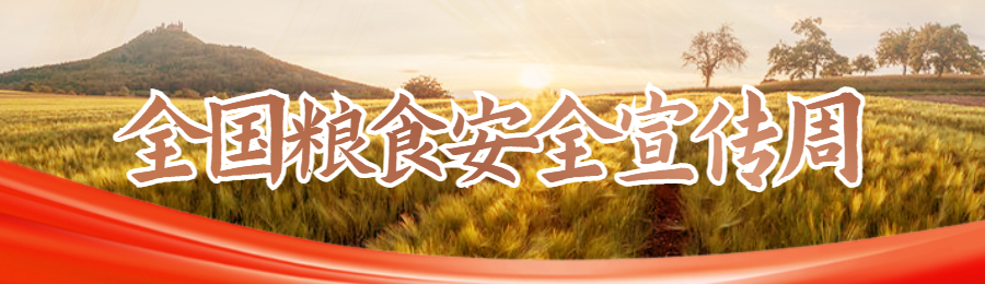 金色渐变写实唯美风格政府机关全国粮食安全宣传周知识答题活动banner