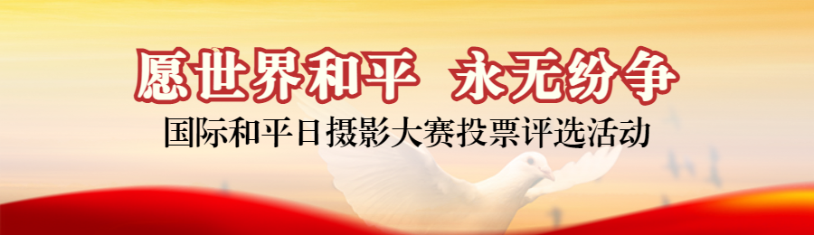 红色写实风格政府组织国际和平日投票活动banner
