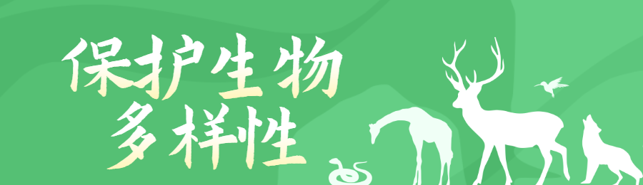 绿色扁平剪影风格政府机关生物多样性知识答题活动banner