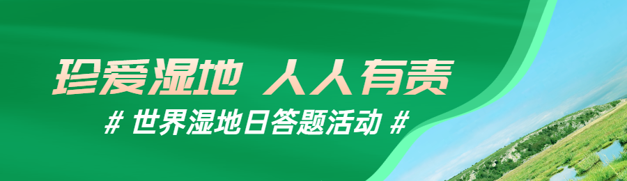 绿色简约写实风格政府组织世界湿地日知识答题活动banner