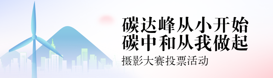 蓝色扁平渐变风格政府组织碳达峰碳中和投票活动banner