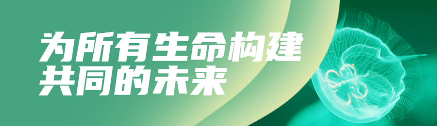 绿色写实唯美风格政府组织生物多样性知识答题活动banner