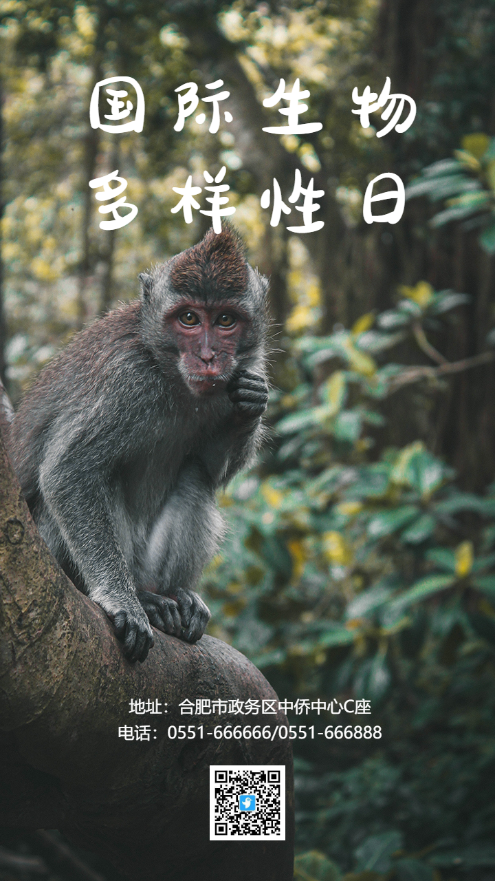 国际生物多样性日