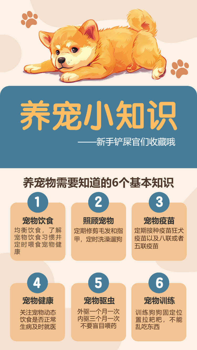 养宠小知识