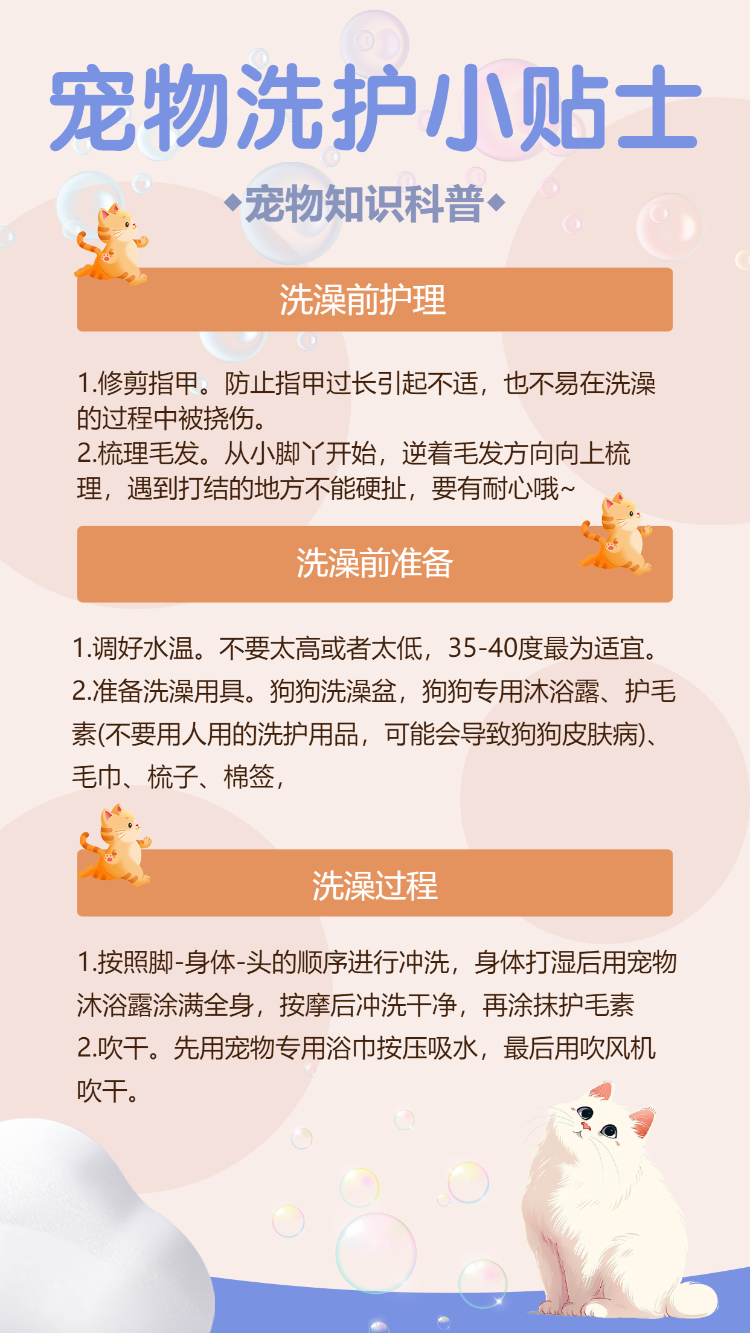 宠物洗护小贴士