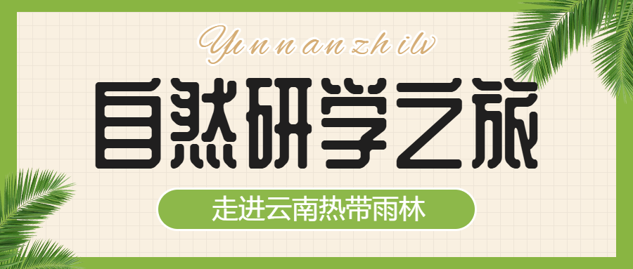 研学招生旅游出行景区景点云南线路营销宣传
