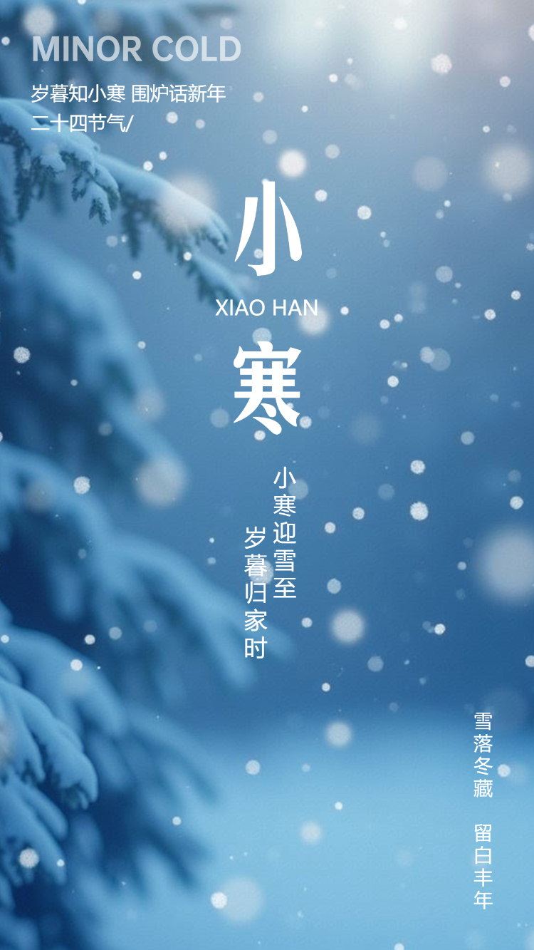 小寒节气企业祝福宣传简约