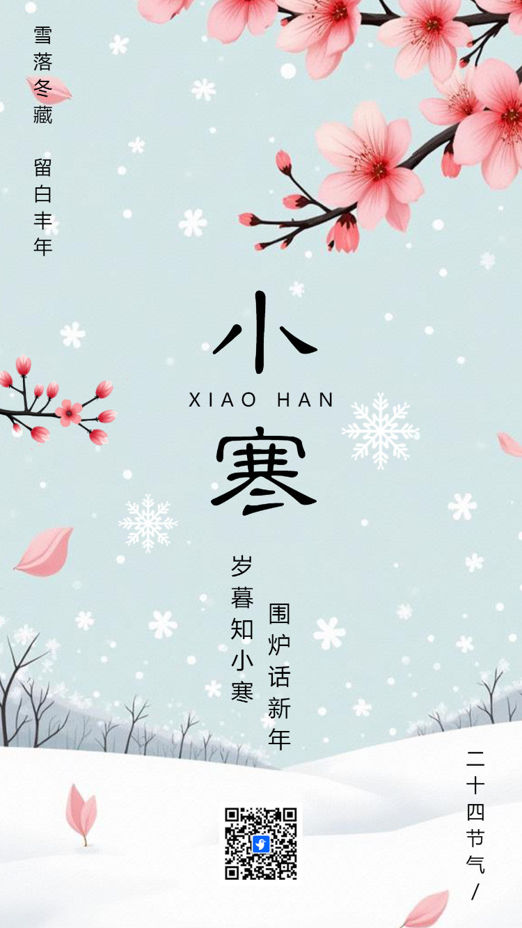 小寒节气企业祝福宣传简约
