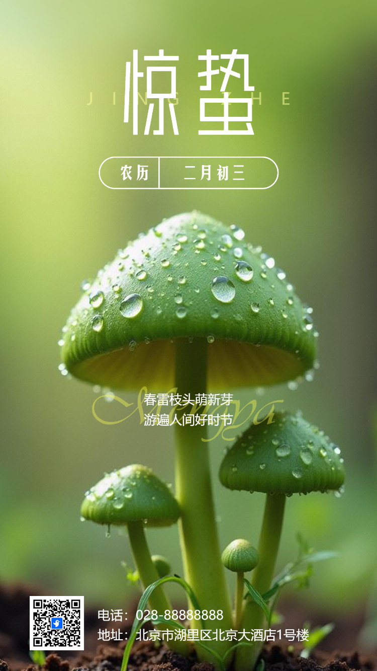 清新二十四节气惊蛰节气习俗介绍节气祝福