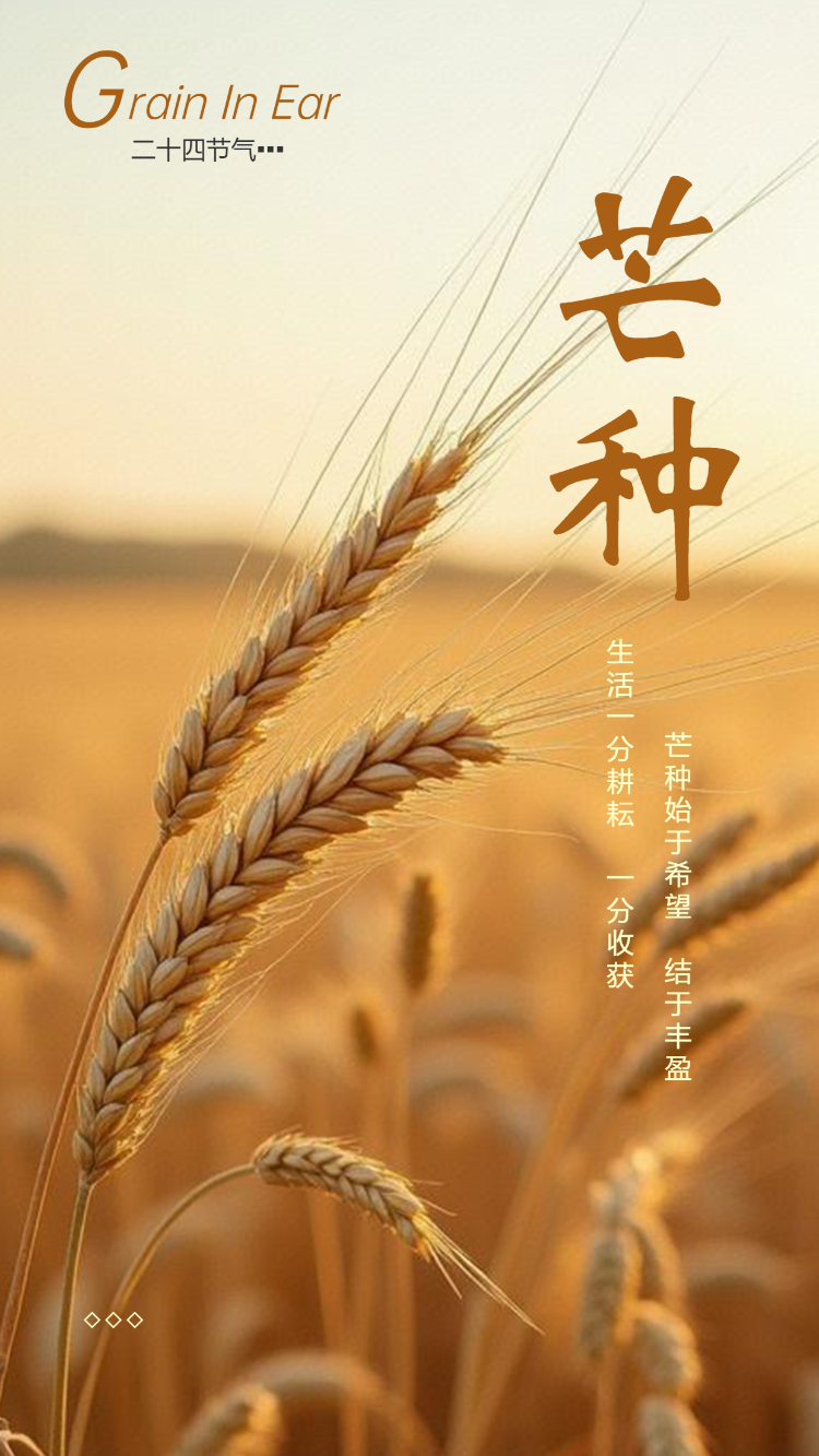 芒种节气介绍祝福