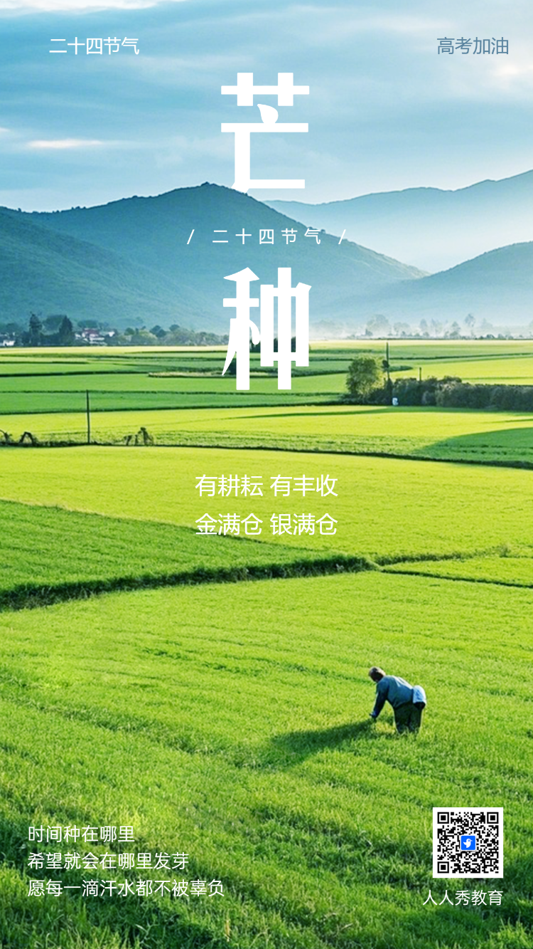 芒种企业宣传节日祝福