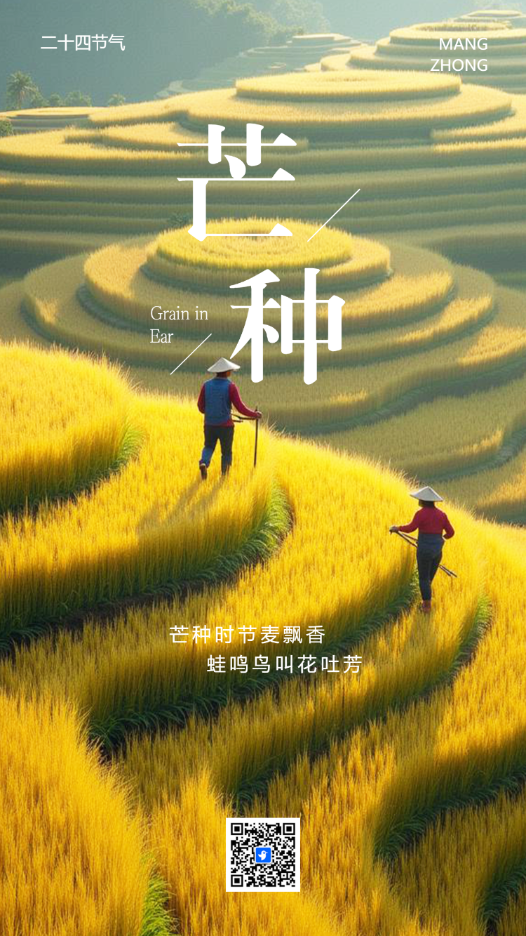 芒种二十四节气祝福习俗介绍宣传