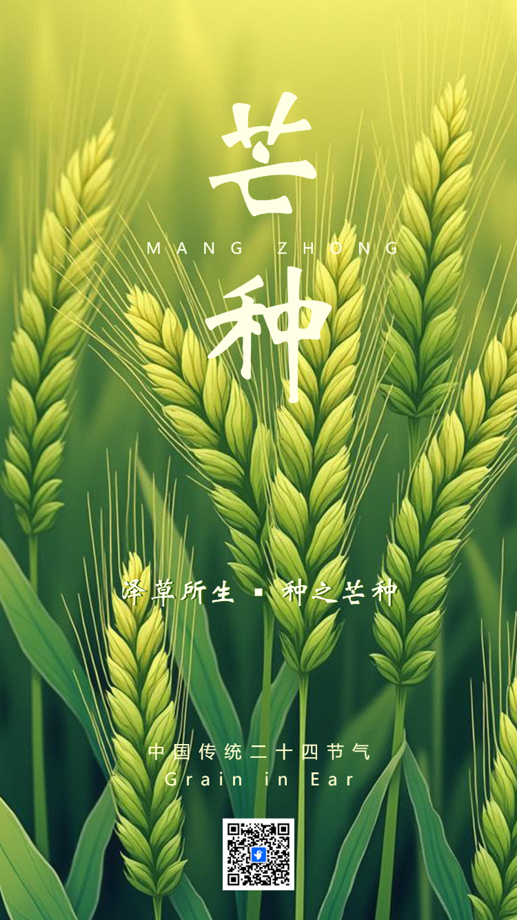 芒种养生知识宣传科普