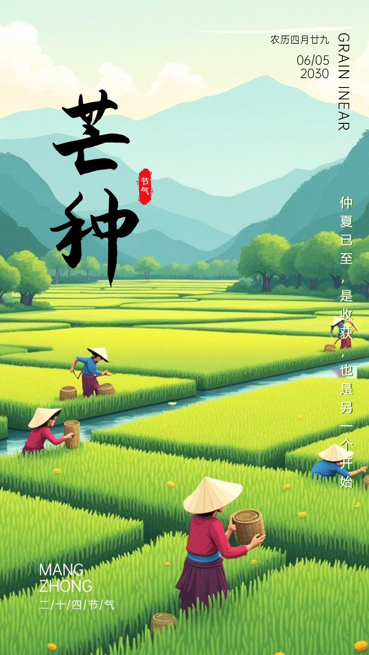 二十四节气芒种节气祝福贺卡节日宣传简约风