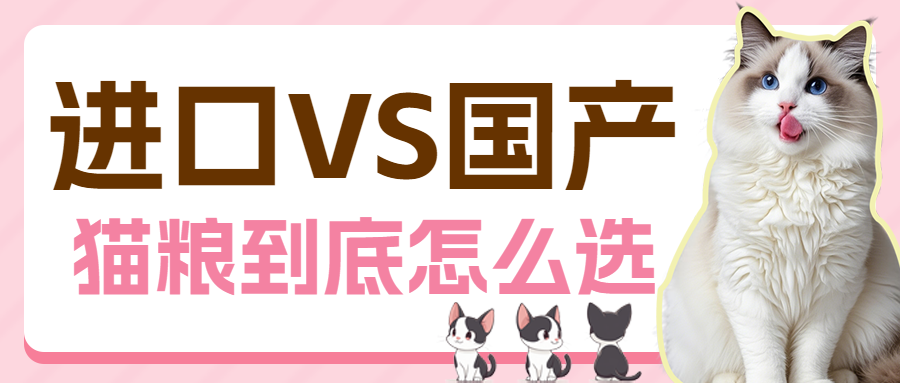 宠物知识科普猫粮怎么选