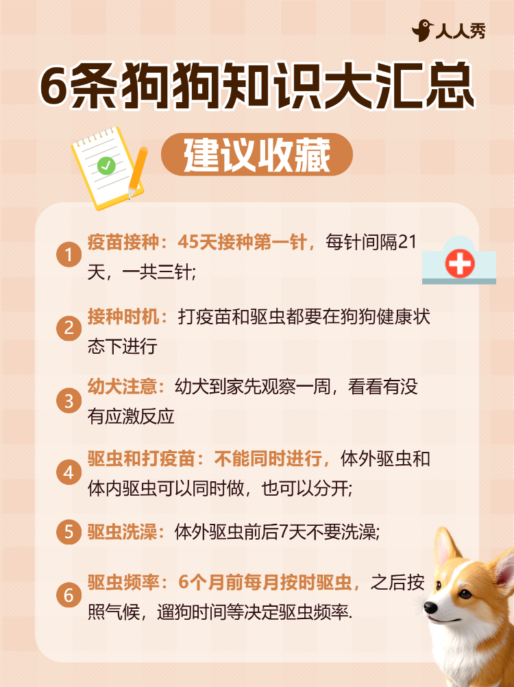 宠物知识科普
