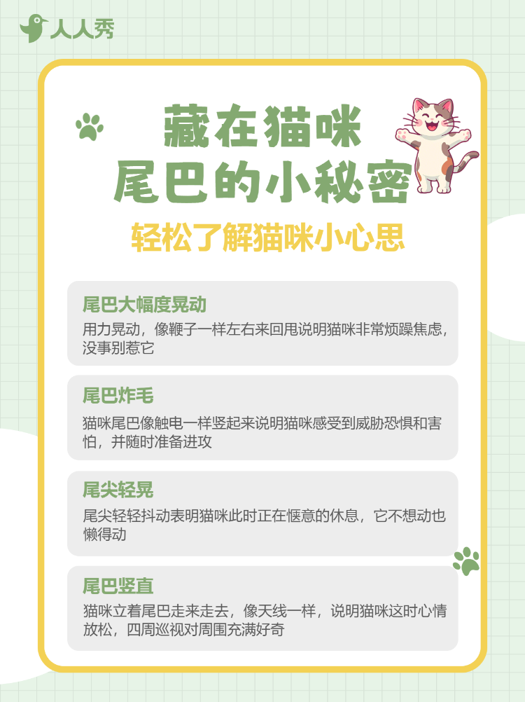 宠物知识科普