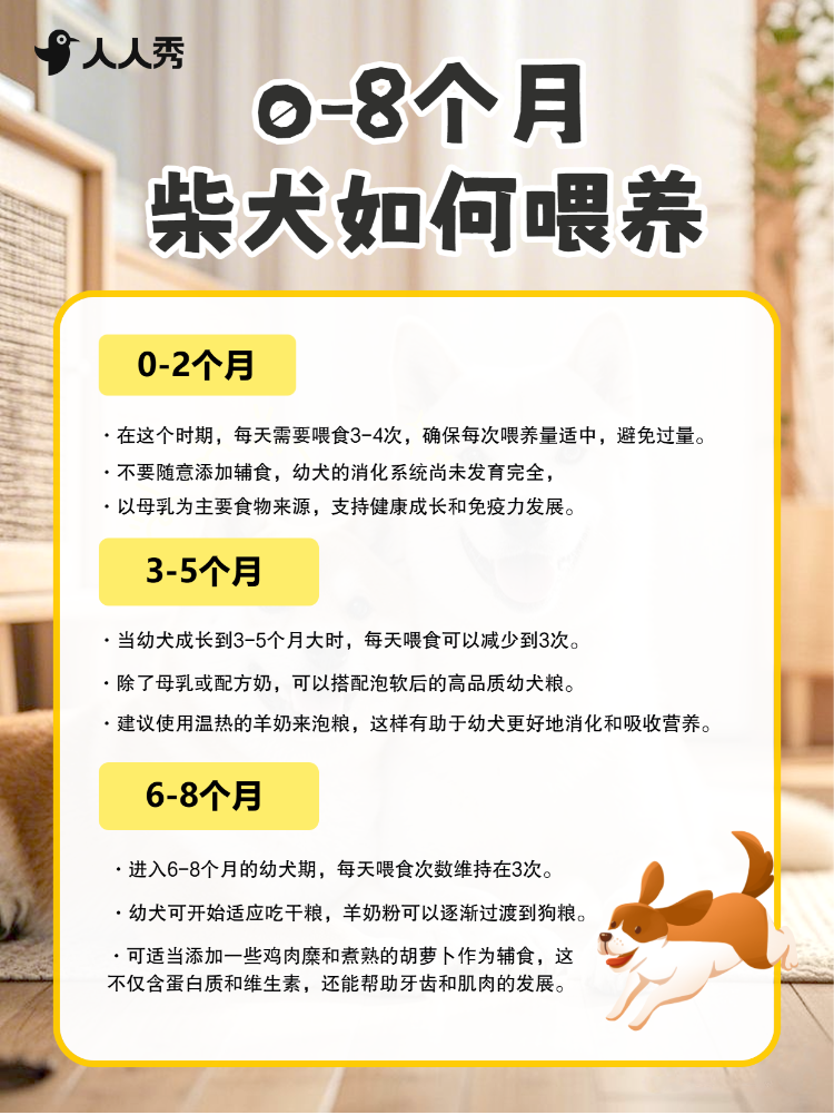 宠物知识科普