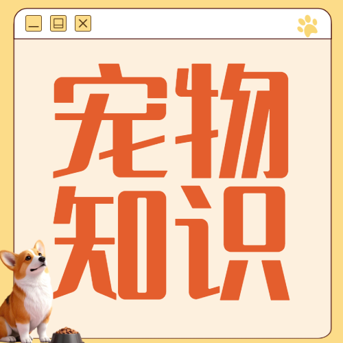 宠物知识科普